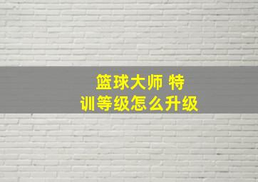 篮球大师 特训等级怎么升级